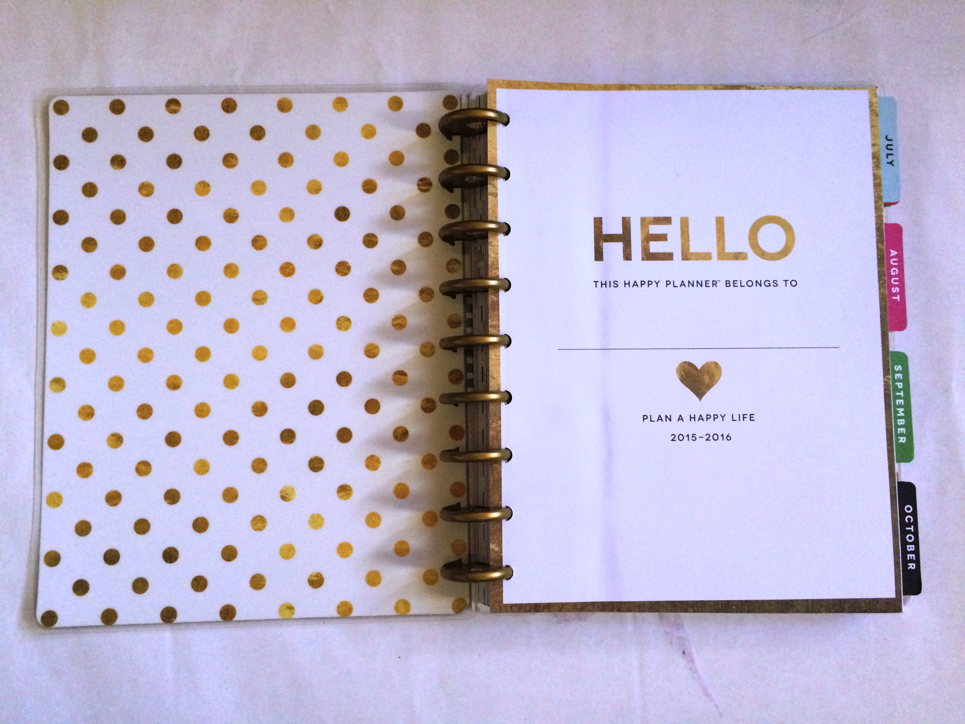 Planner Dashboard Inserts Erin Condren Bee Gnome Planner Cover Personal Planner A5 Insert Happy Planner Inserts GM MM PM Agenda